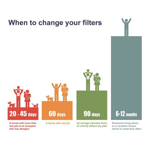 when to change filters when to, change, filters, air, air filters, allergies, pets, pet