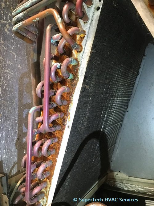 Dirty mold indoor coil Baltimore Dirty mold indoor coil Baltimore