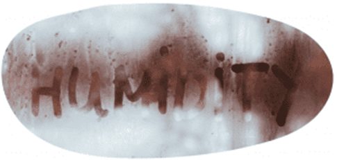 humidity written in steam whole house dehumidifier