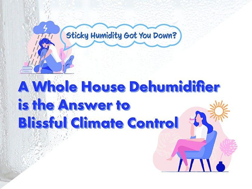 thumbnail for whole house dehumidifier blog
